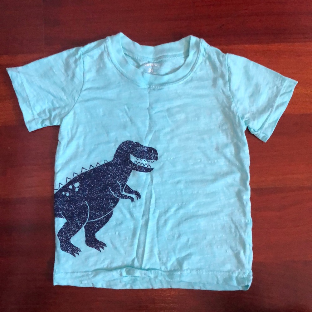 💯 % Cotton New Condition T-shirt